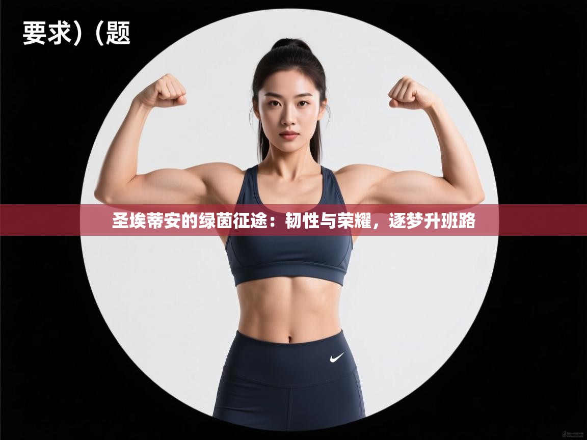 圣埃蒂安的绿茵征途：韧性与荣耀，逐梦升班路  第2张